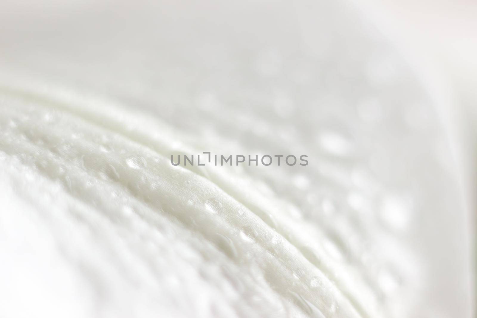 Macro flower blossom with water droplet. Abstract nature blurred background. Beautiful Macro shot with tender wet blossom. High quality photo