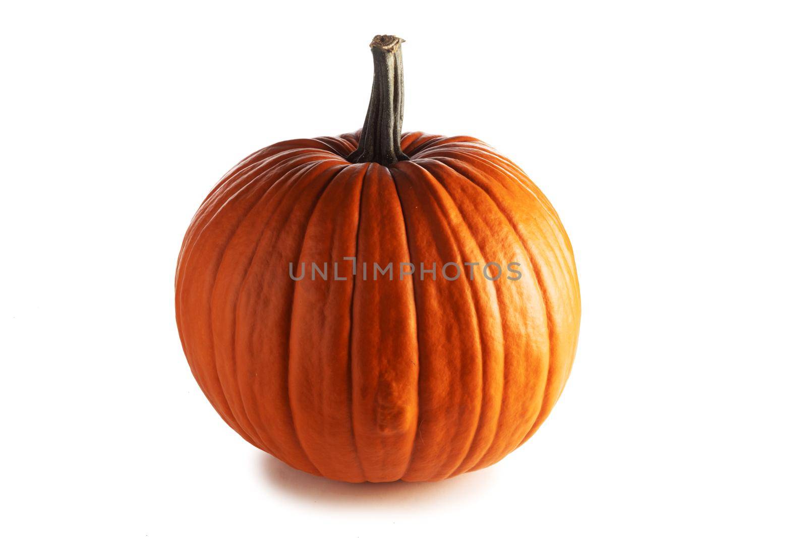 Fresh orange pumpkin isolated on white background