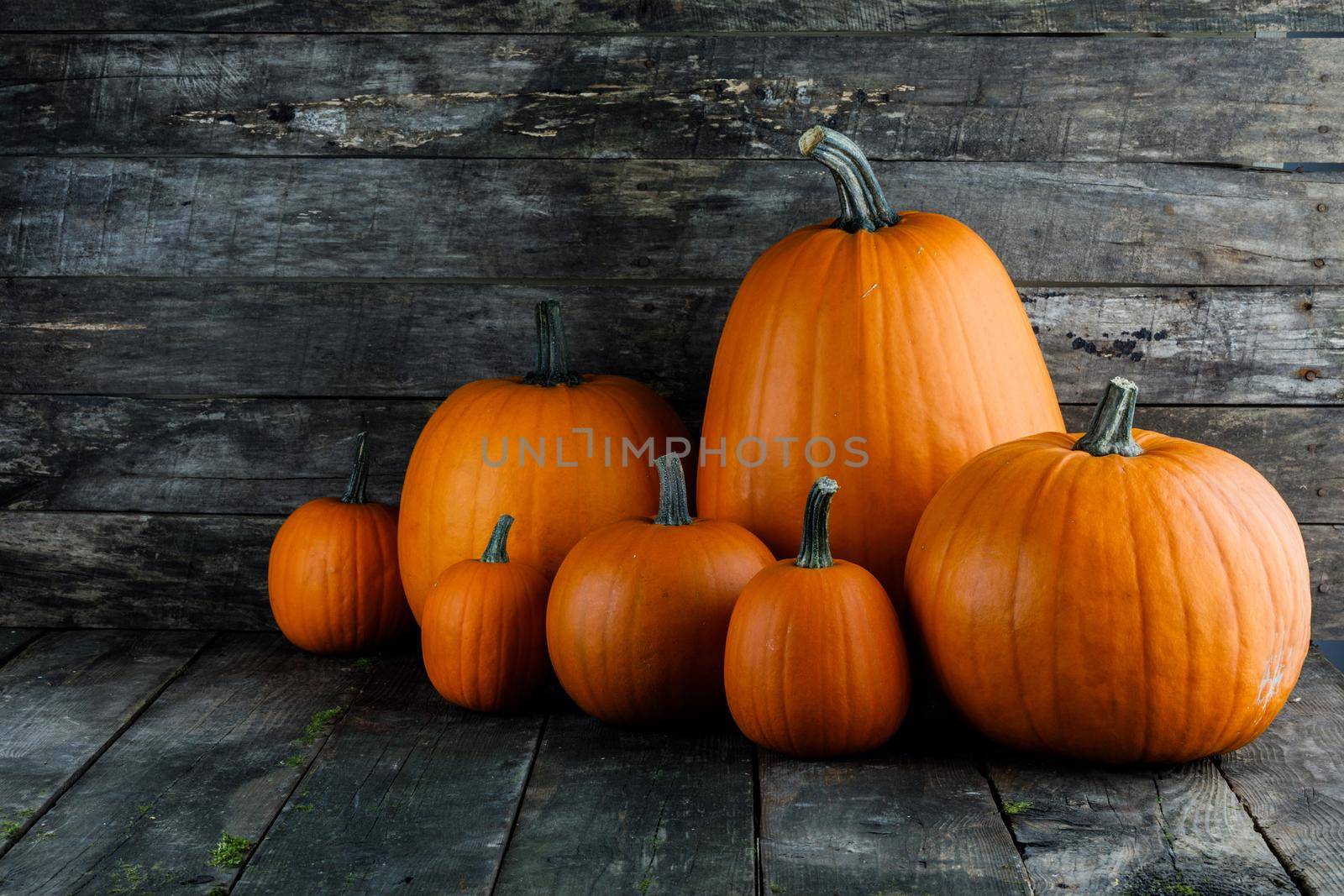 Ripe pumpkins on wooden background by Yellowj