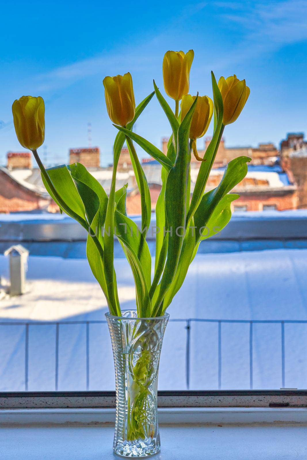 Yellow tulips in a crystal vase on a windowsill. Vertical frame against the view from the window.