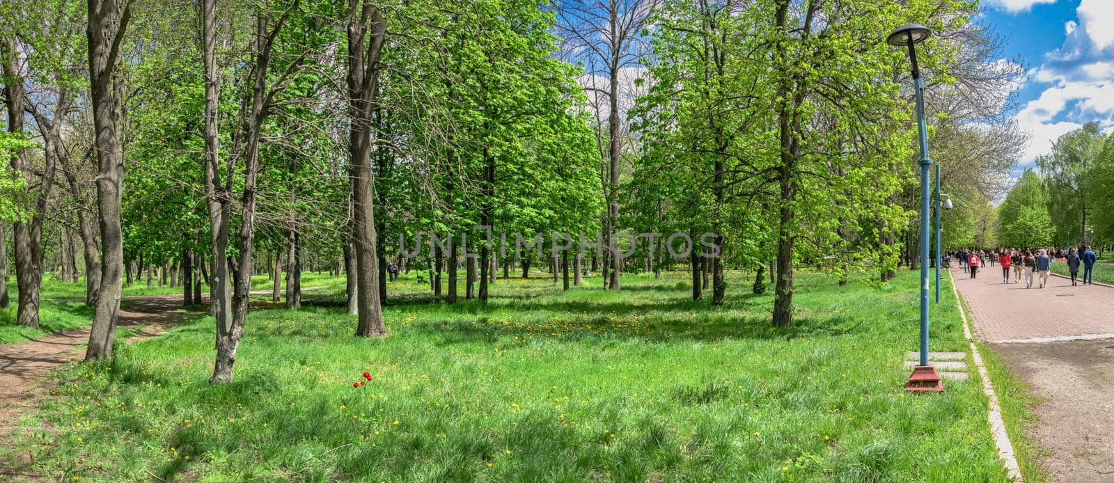 Kropyvnytskyi, Ukraine 09.05.2021. Kropyvnytskyi arboretum in the city park on a sunny spring day