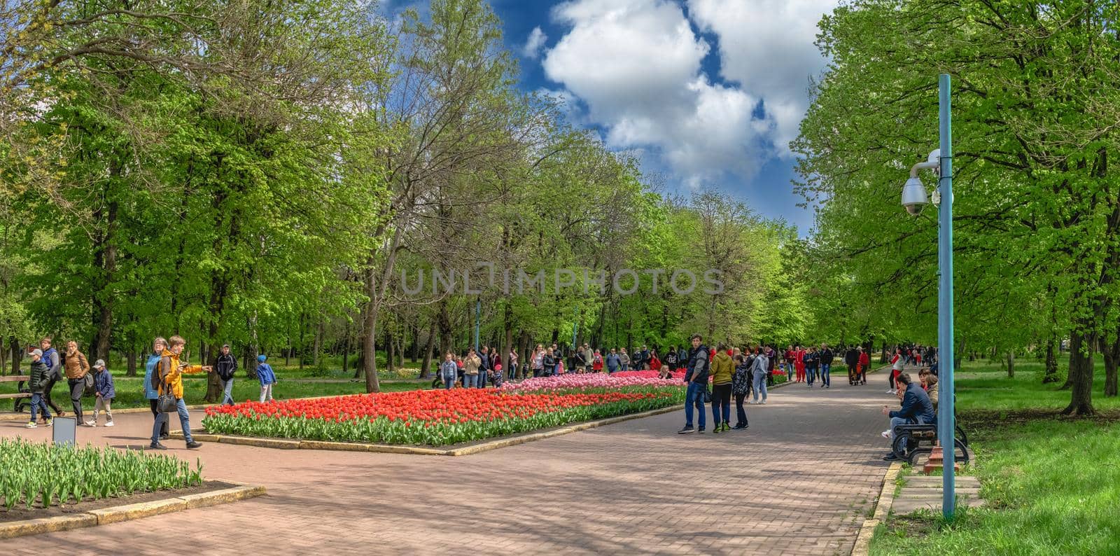 Kropyvnytskyi arboretum, Ukraine by Multipedia