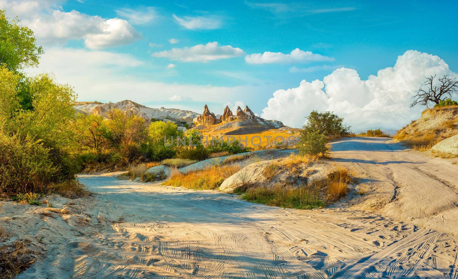 Love valley in Goreme national park. Cappadocia, Turkey