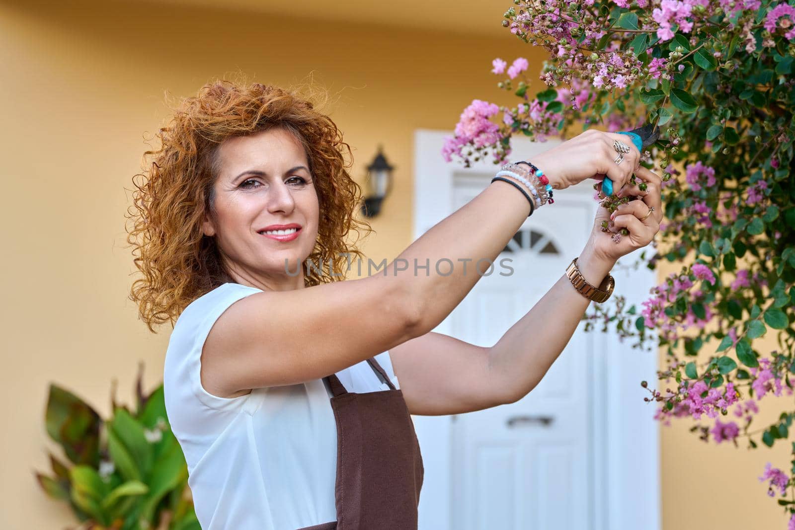 Woman in garden with pruner caring for flowering bush. Beautiful middle-aged female in apron with garden shears, looking at camera, gardening, floristics, hobbies and leisure, natural beauty