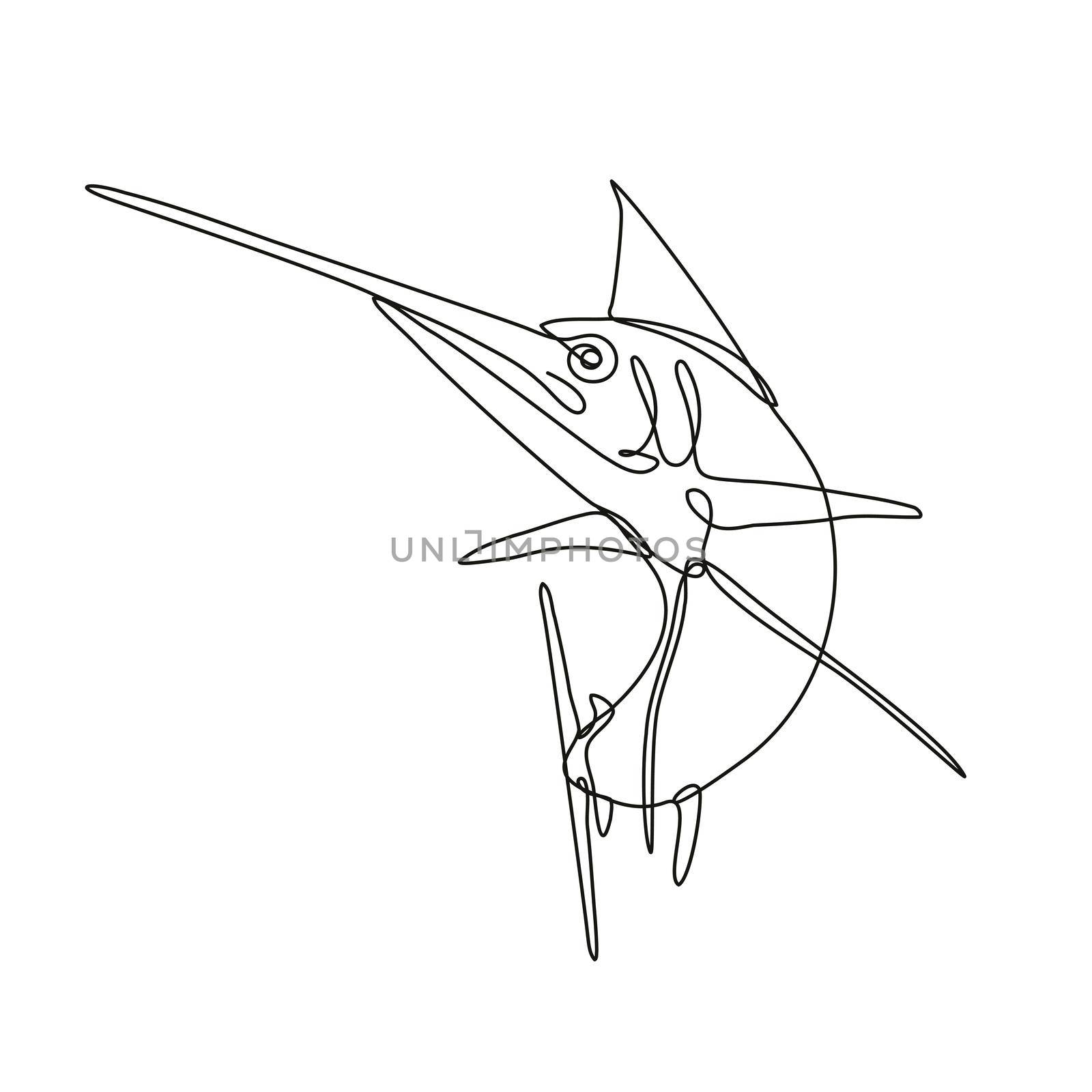 Continuous line drawing illustration of an angry Atlantic blue marlin jumping up done in mono line or doodle style in black and white on isolated background. 