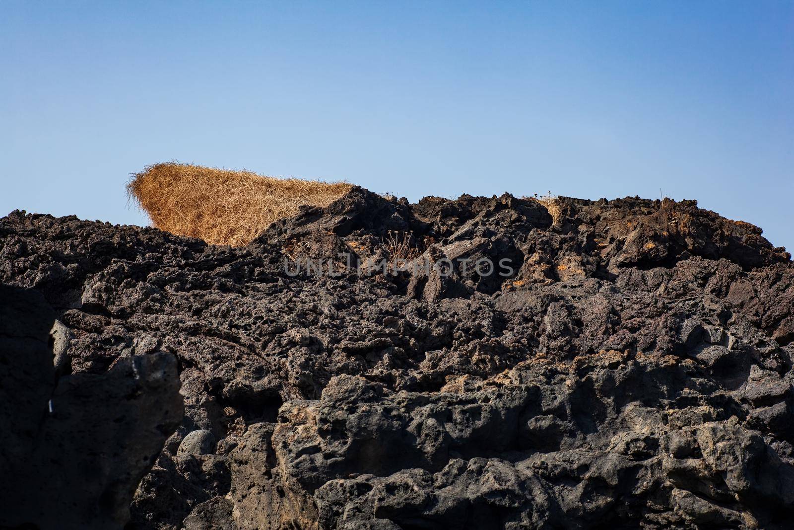 View of the lava rock of Linosa, Sicily. Italy