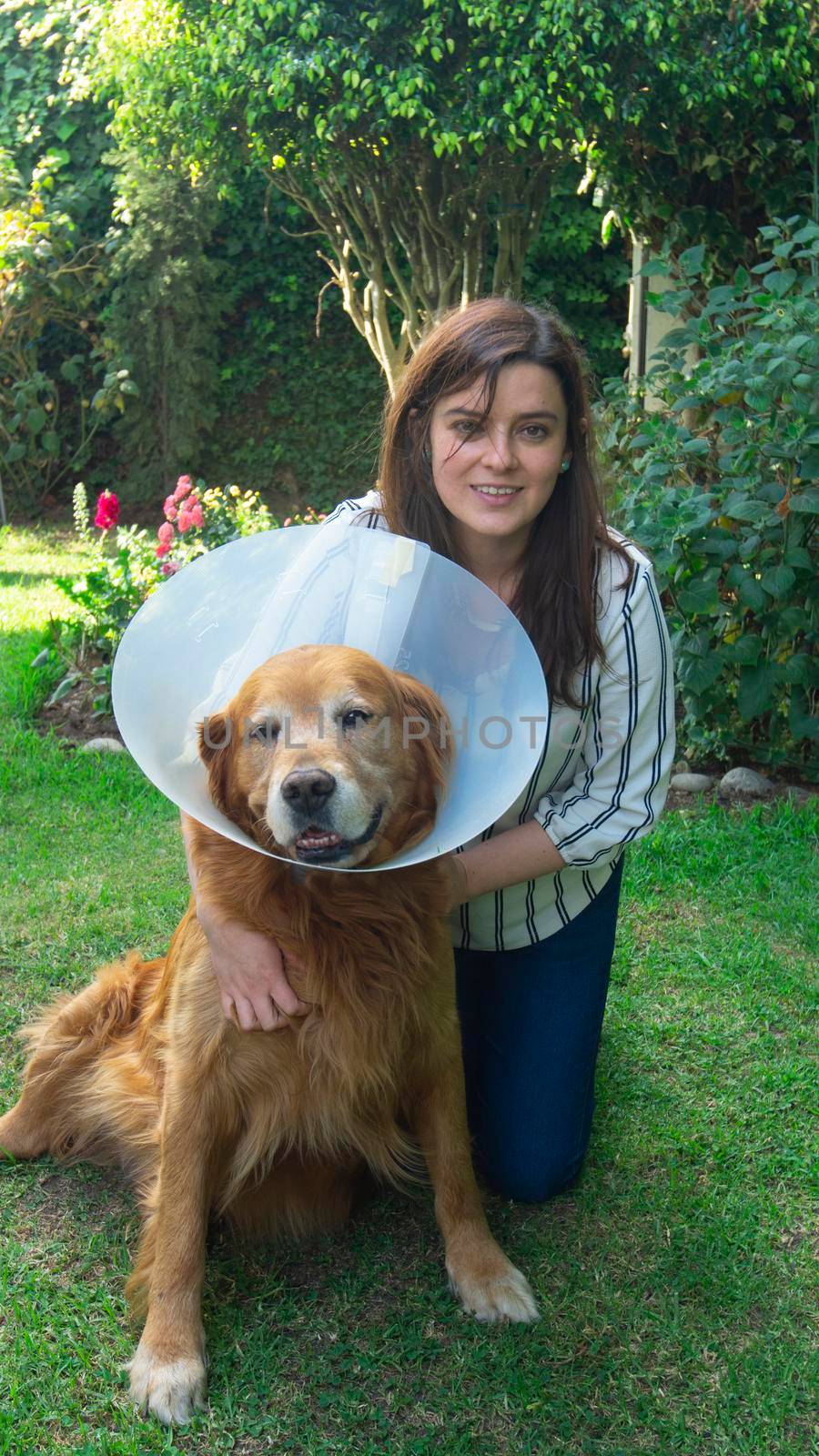 Beautiful Hispanic young woman hugging her injured Golden Retriever dog with a plastic cone on her neck in her home garden during sunset