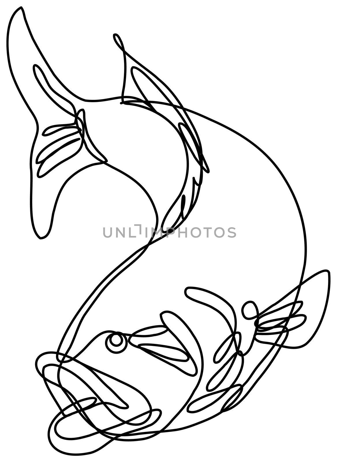 Continuous line drawing illustration of a bucketmouth bass or largemouth jumping down done in mono line or doodle style in black and white on isolated background. 