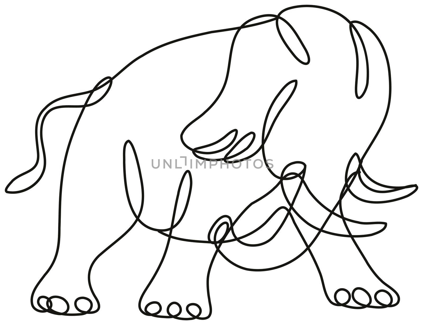 African Elephant Charging Side View Continuous Line Drawing  by patrimonio