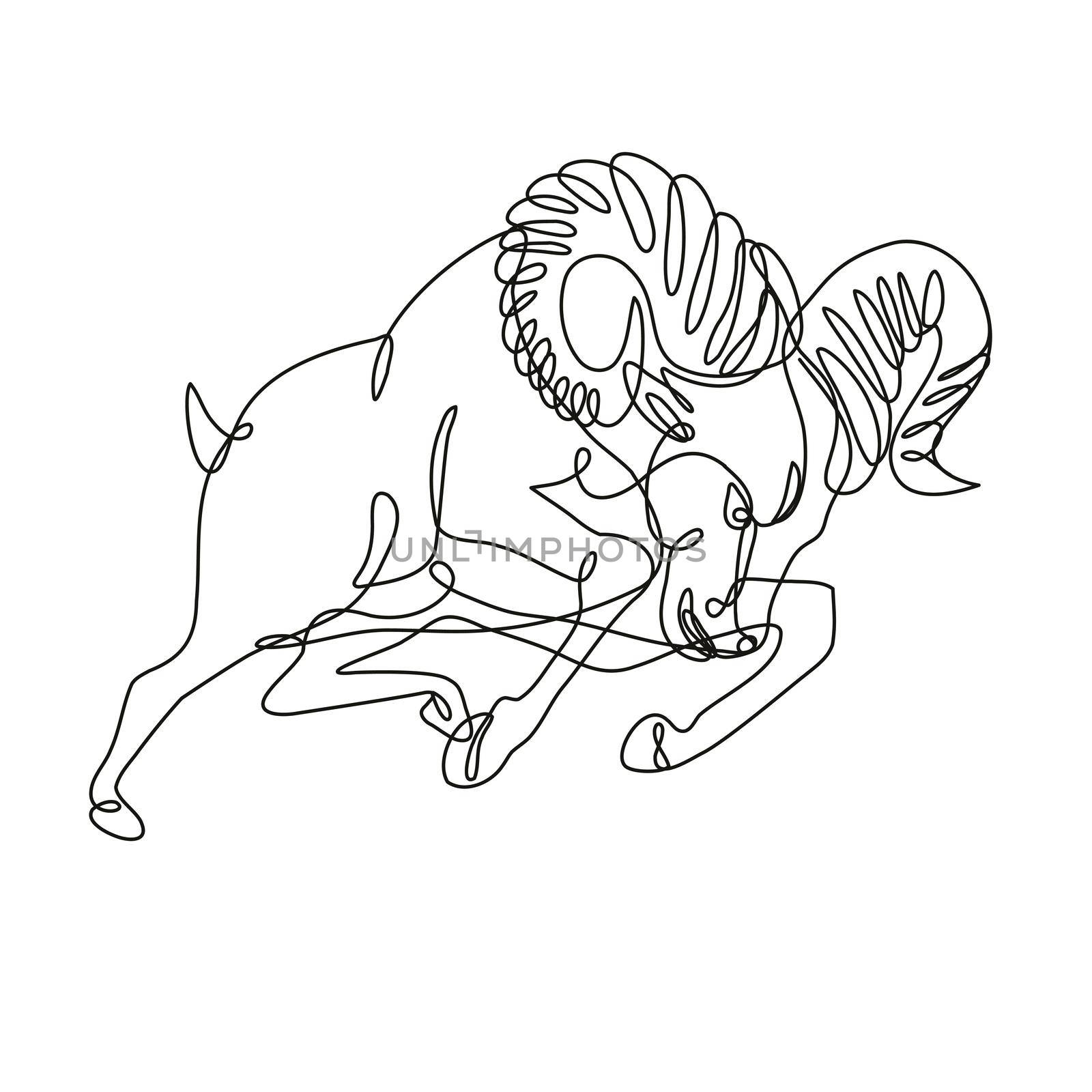 Bighorn Sheep Ram Jumping and Attacking Continuous Line Drawing  by patrimonio