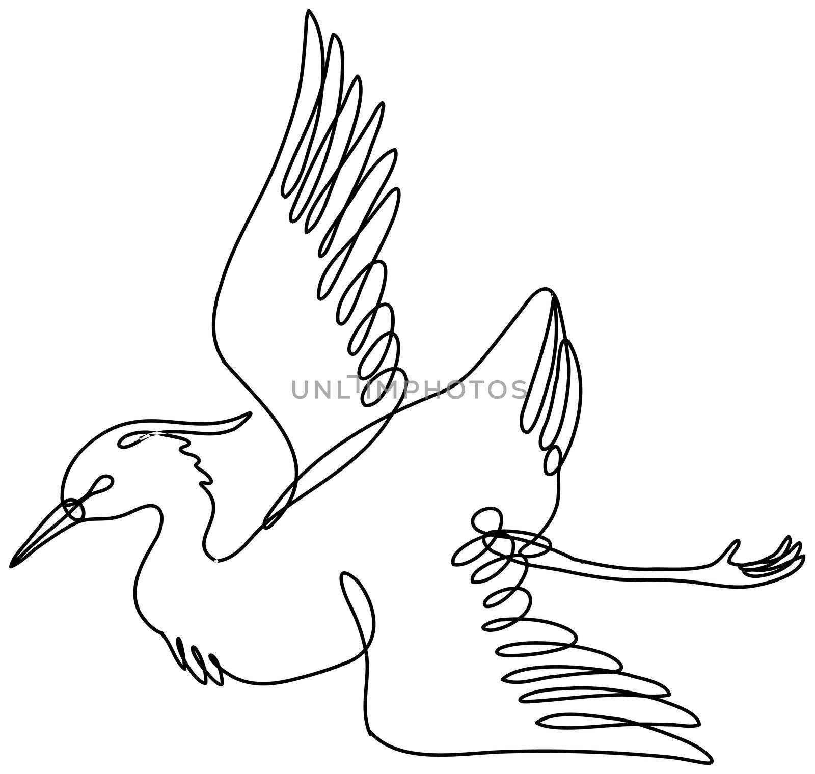 Continuous line drawing illustration of a crane flying side view done in mono line or doodle style in black and white on isolated background. 