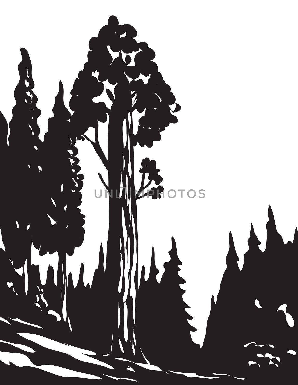 WPA Monochrome Art General Grant Tree Trail in Kings Canyon National Park Sierra Nevada California USA Grayscale Black and White  by patrimonio