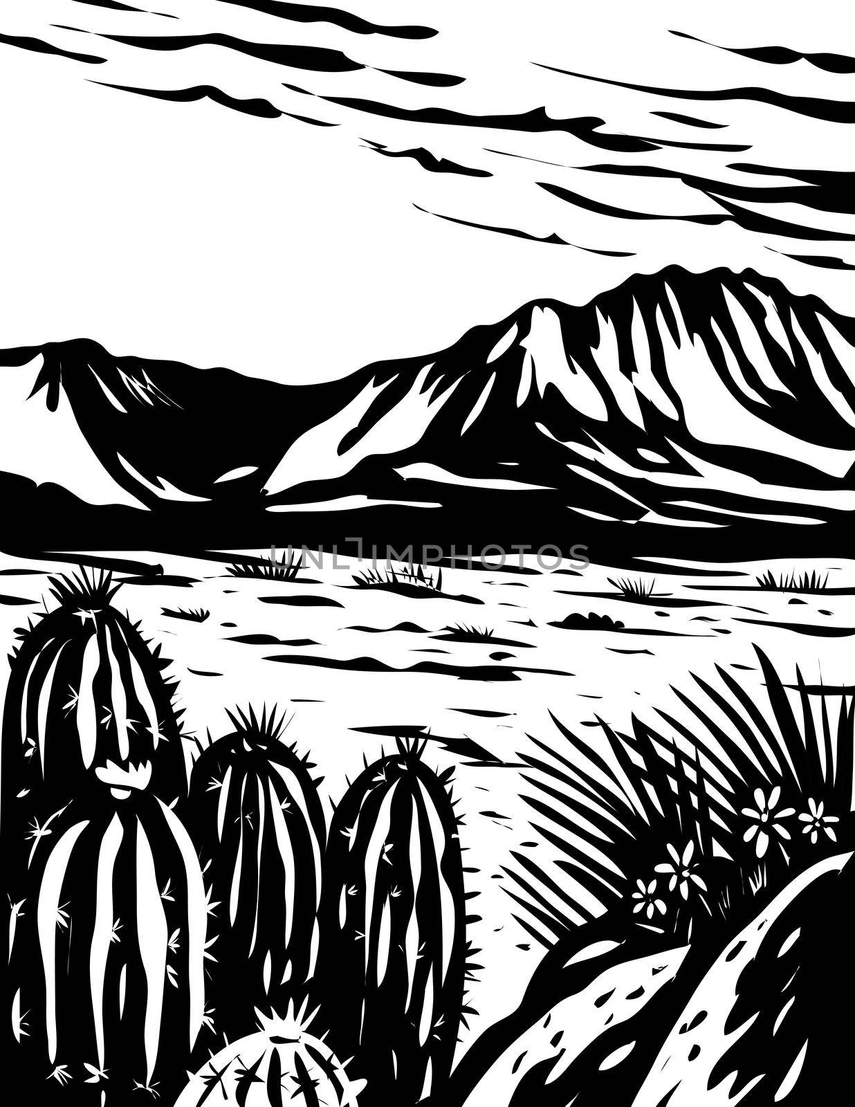 Chihuahuan Desert in Big Bend National Park West Texas USA Mexico Border WPA Woodcut Black and White Art  by patrimonio
