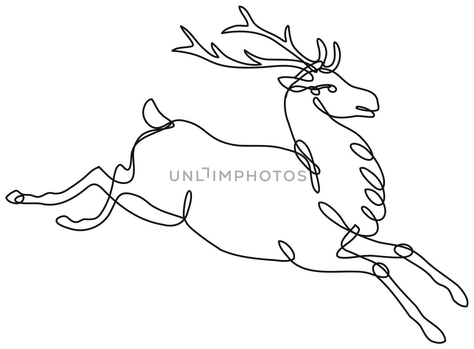 Continuous line drawing illustration of a red deer stag or buck jumping side view done in mono line or doodle style in black and white on isolated background. 