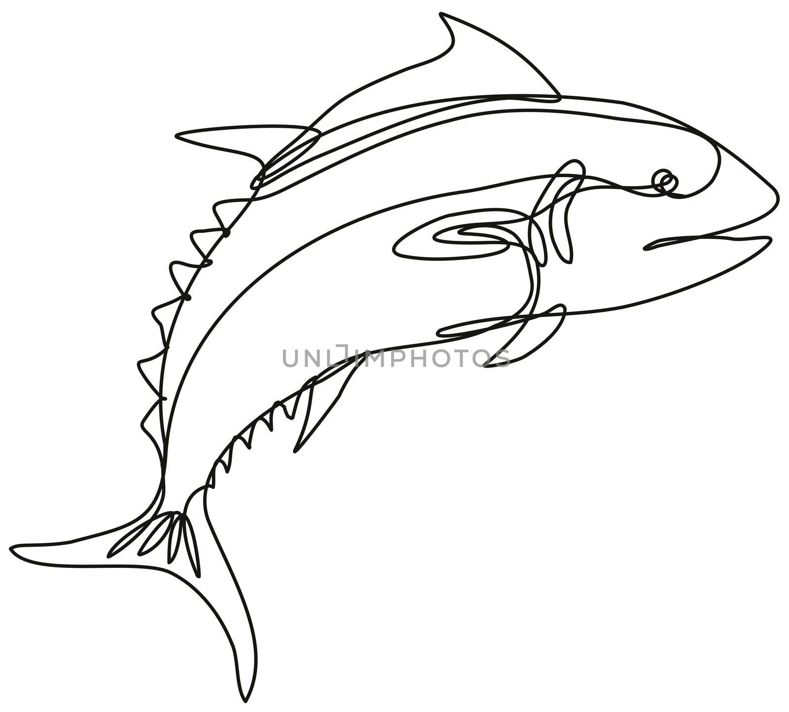 Bluefin Tuna Jumping Side View Continuous Line Drawing  by patrimonio