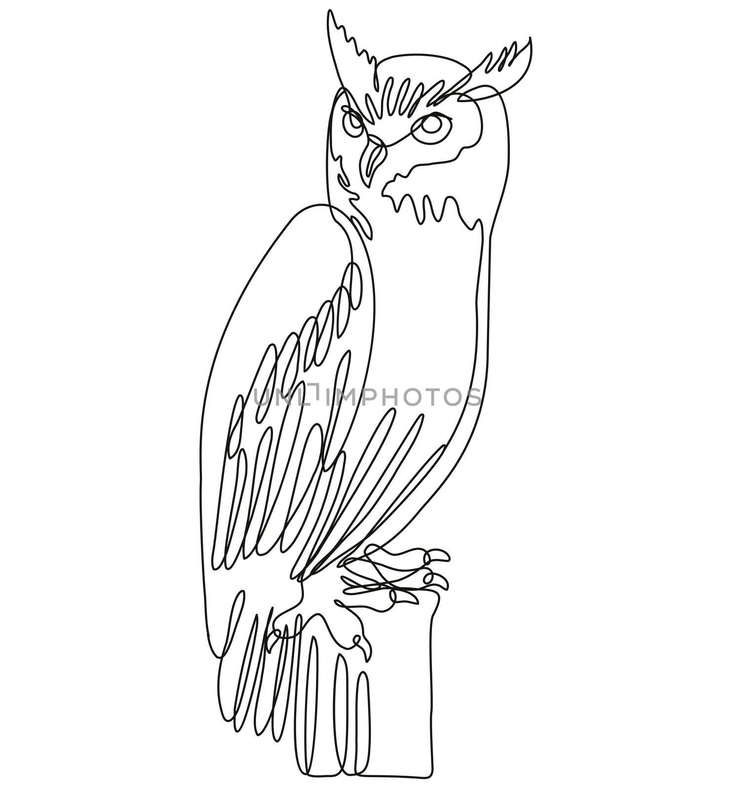 Continuous line drawing illustration of a tiger owl or great horned owl perching on tree stump done in mono line or doodle style in black and white on isolated background. 