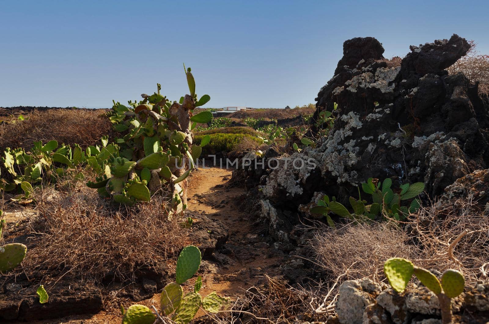 View of the Turriache path in Linosa, Sicily. Italy