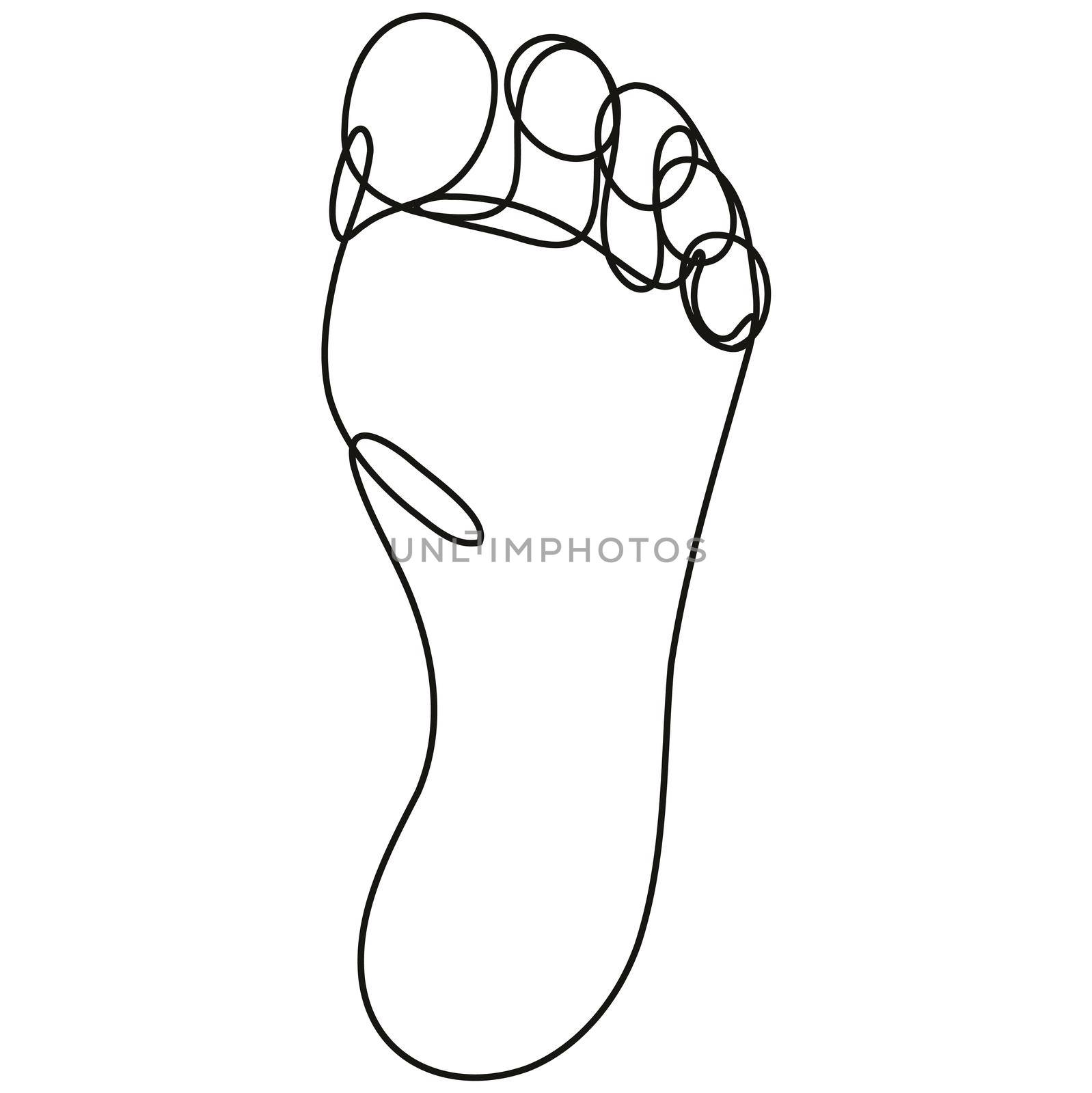 Continuous line drawing illustration of a sole of foot done in mono line or doodle style in black and white on isolated background. 