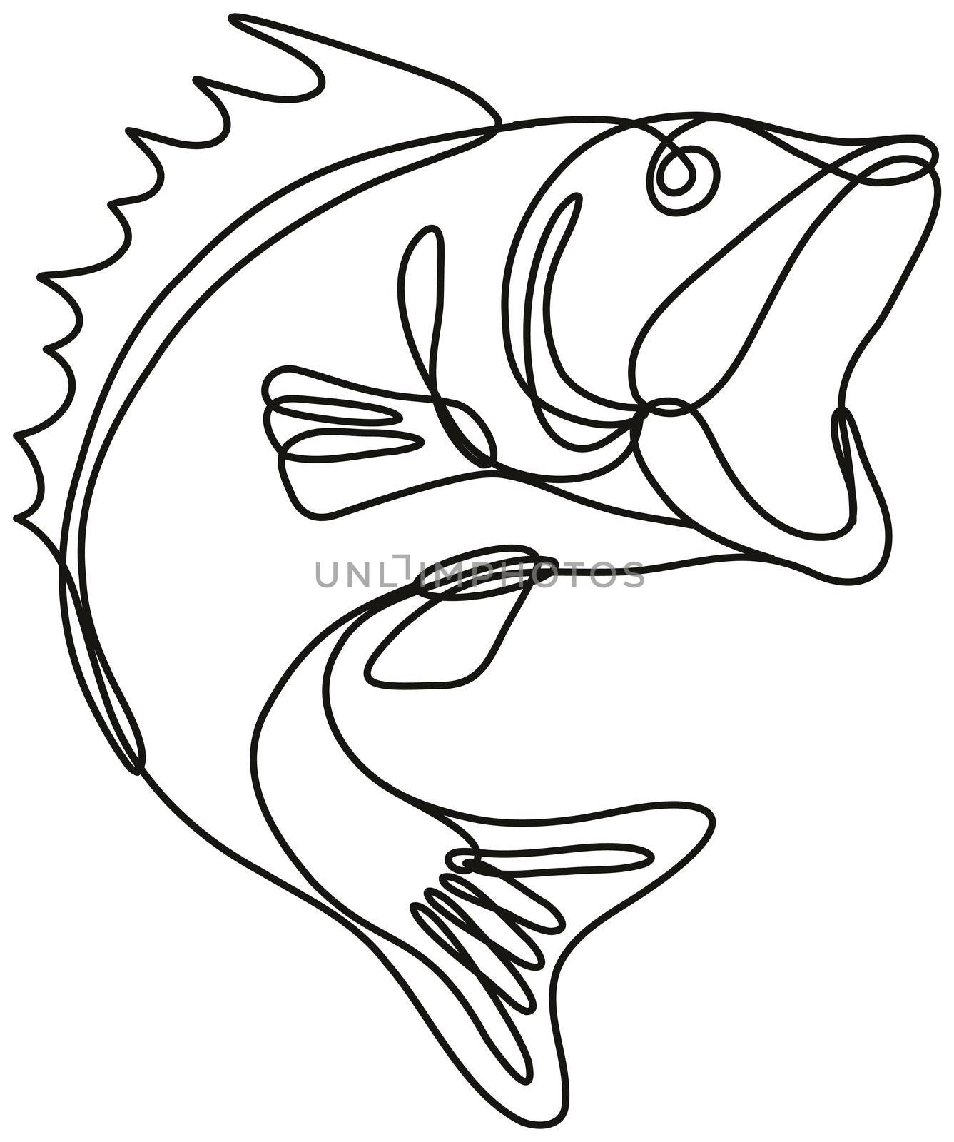Largemouth Bass Jumping Up Continuous Line Drawing  by patrimonio