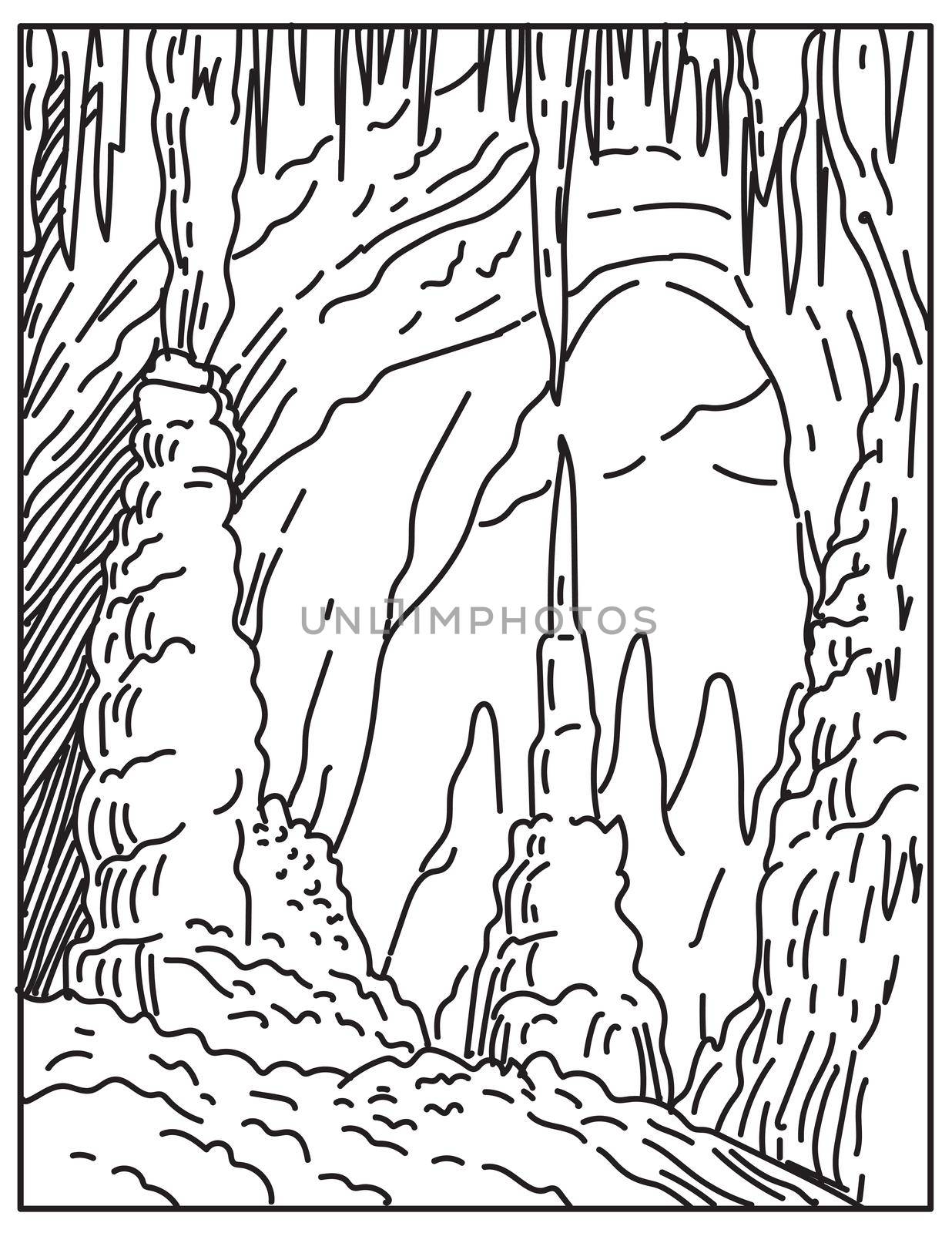 Mono line illustration of Carlsbad Caverns National Park in the Chihuahuan Desert of southern New Mexico, USA done in in retro black and white monoline line art style poster.
