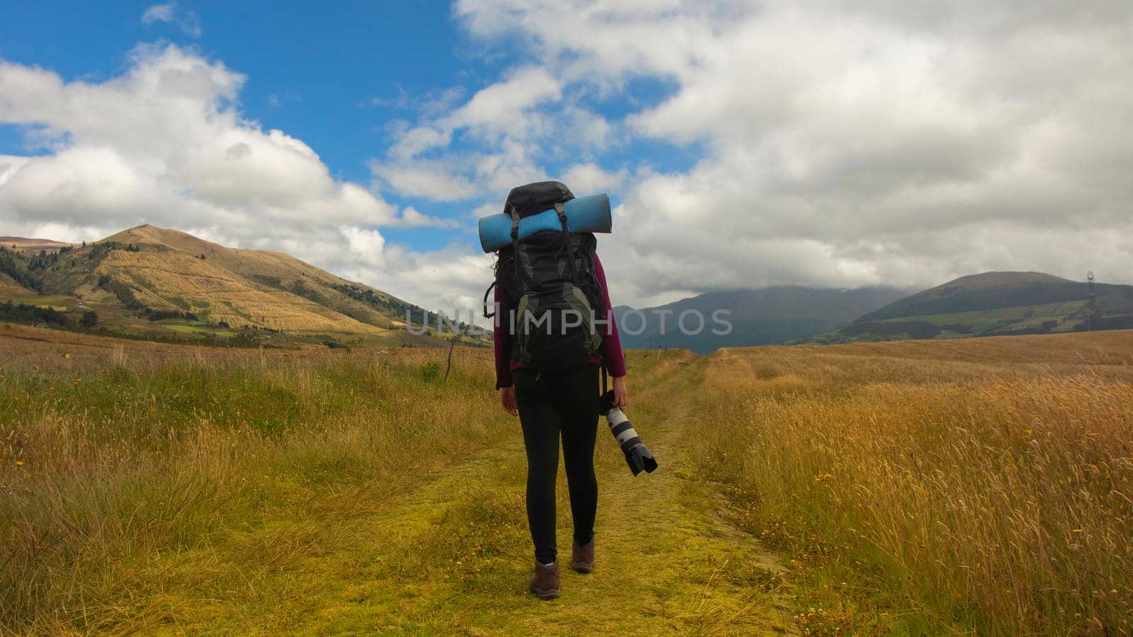 Beautiful Hispanic female explorer seen from behind with backpack walking with a camera in hand in the middle of a sown field by alejomiranda
