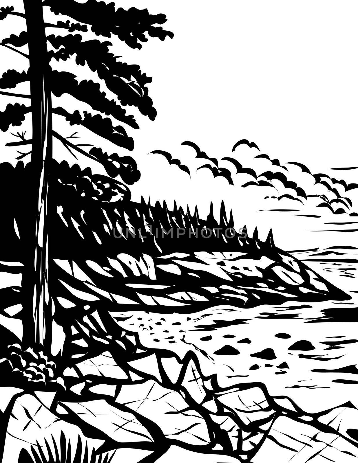 WPA poster monochrome art of the Acadia National Park on Mount Desert Island, Maine USA done in works project administration black and white style.