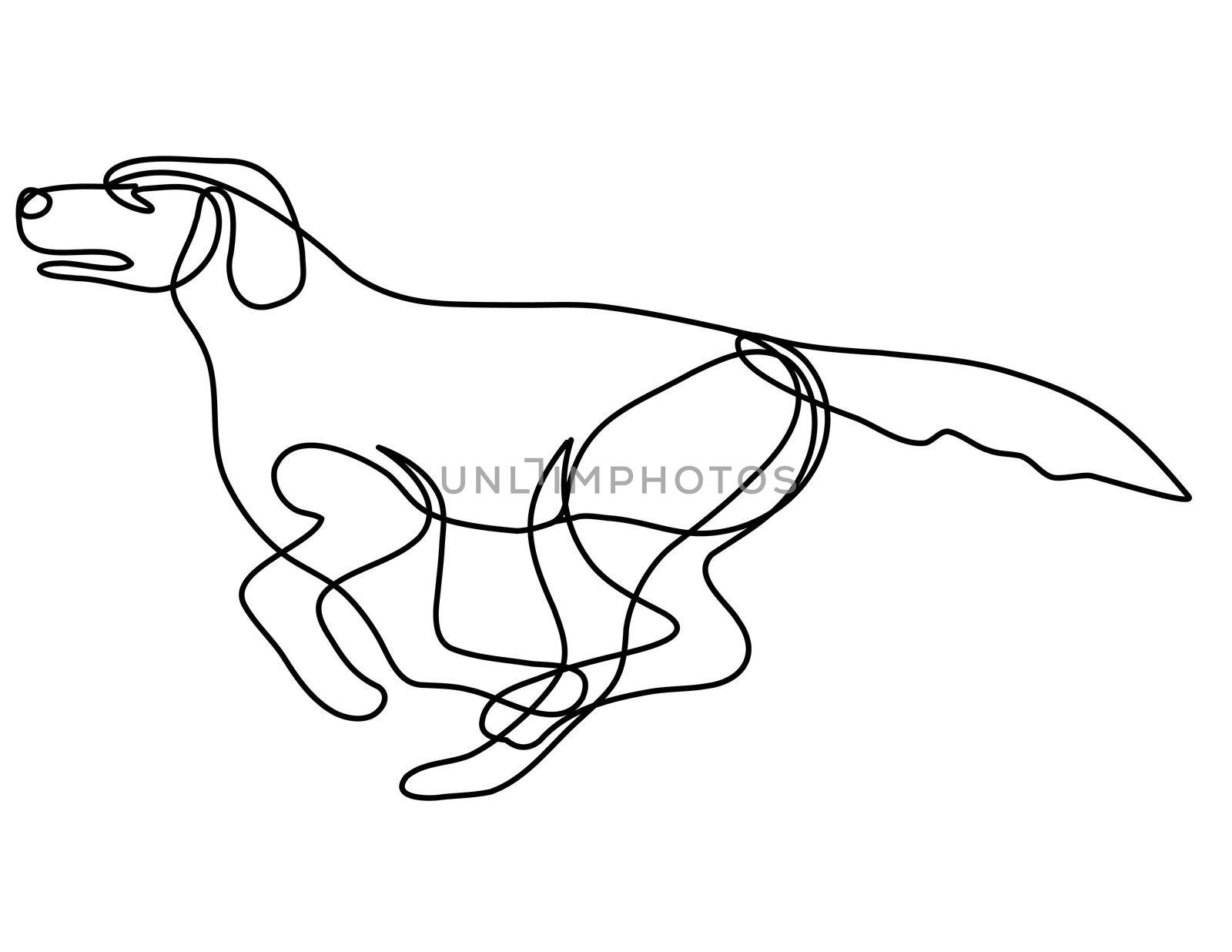 Labrador Retriever Dog Running Side View Continuous Line Drawing  by patrimonio