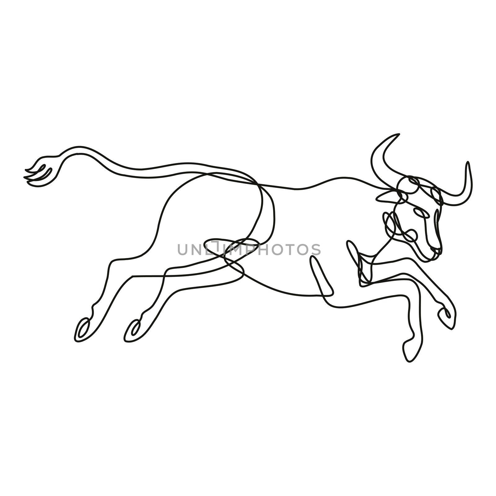 Texas Longhorn Bull Jumping Side View Continuous Line Drawing  by patrimonio