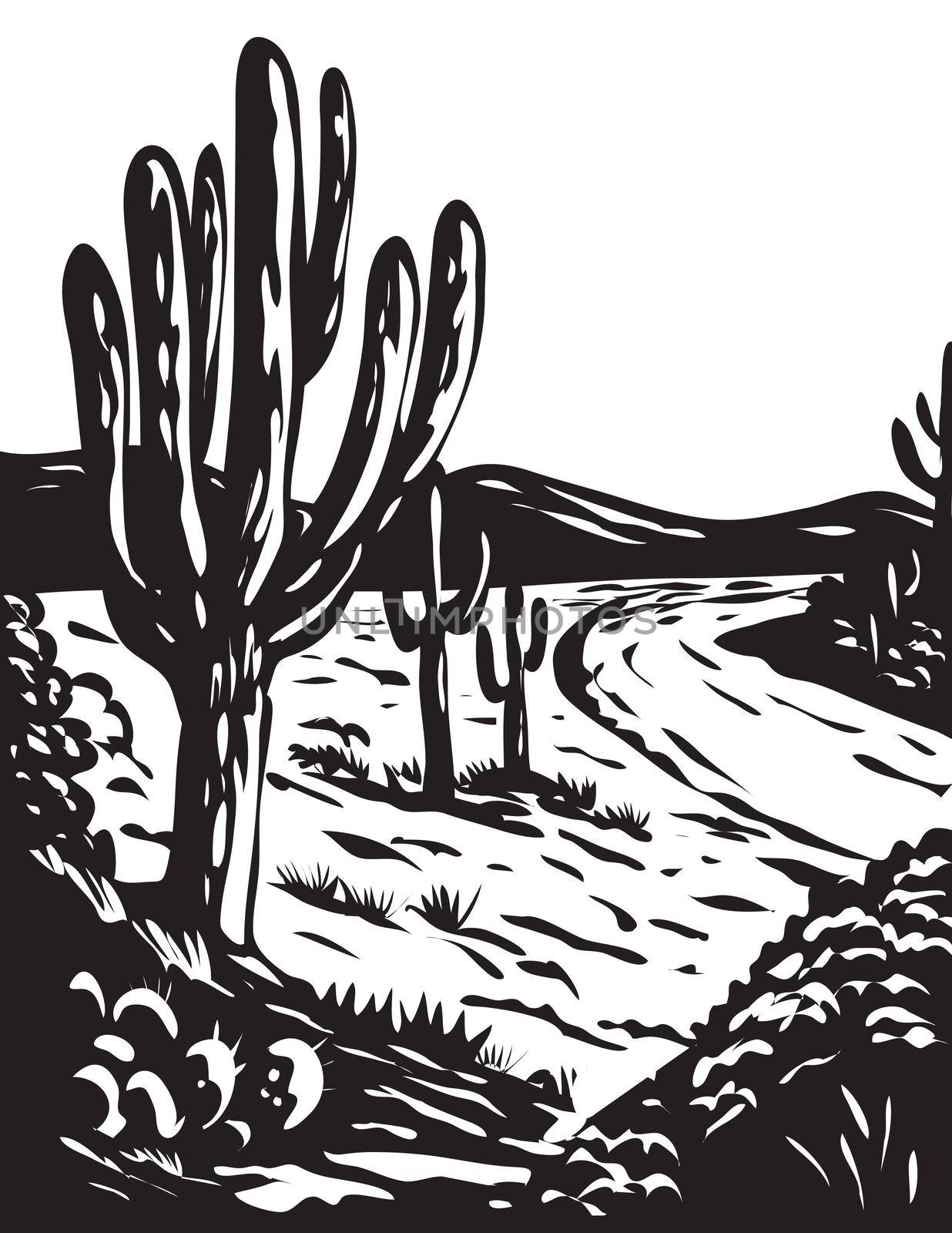 WPA Art Saguaro National Park in Pima County Arizona USA Grayscale Black and White  by patrimonio