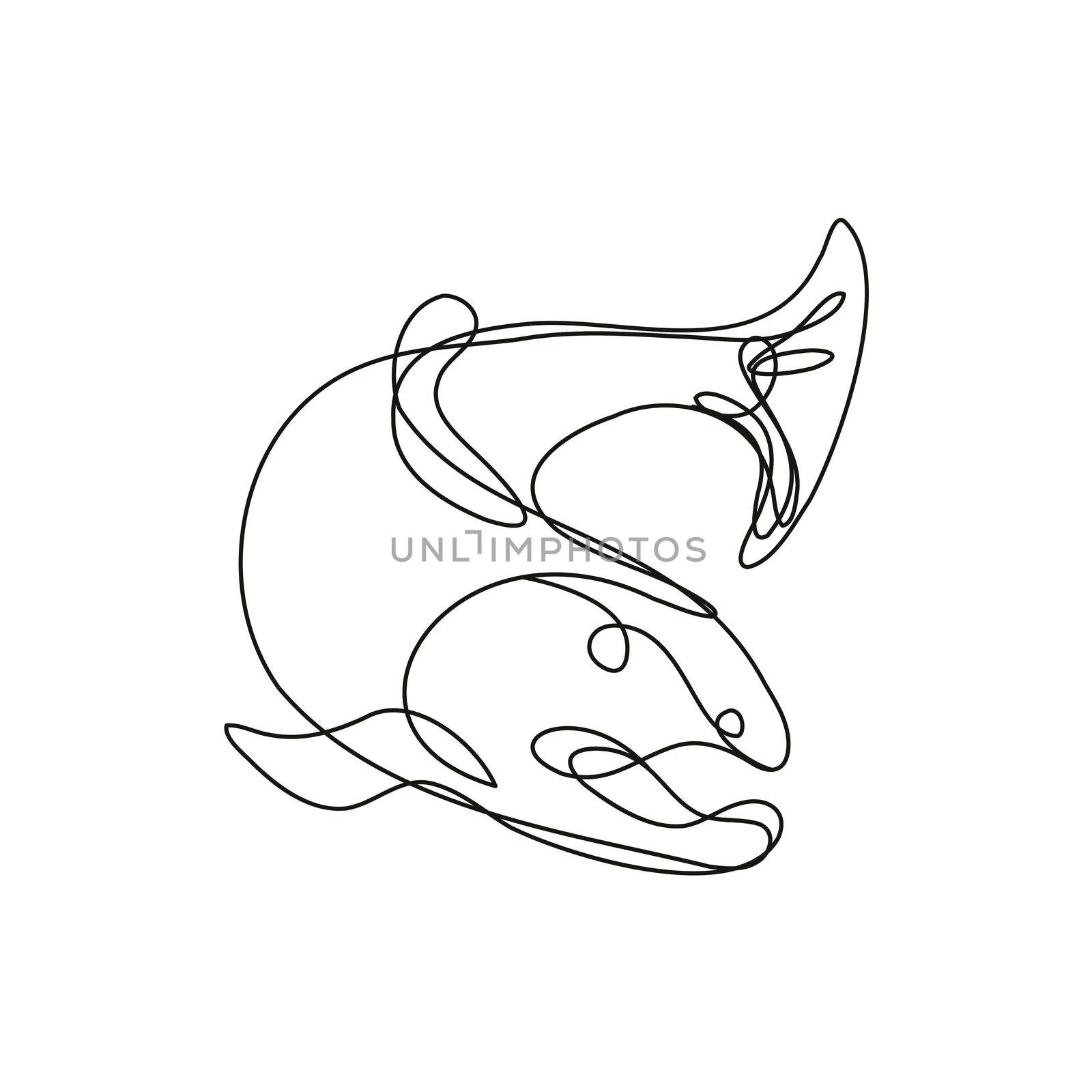 Lake Trout Jumping Down Continuous Line Drawing by patrimonio