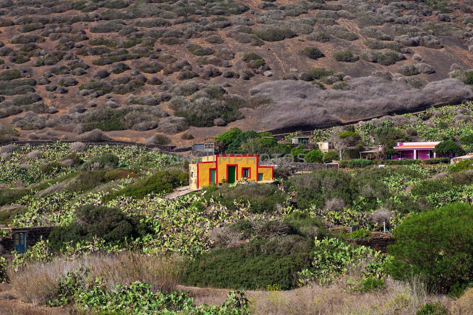 View of typical colorful houses of Linosa in the countryside by bepsimage