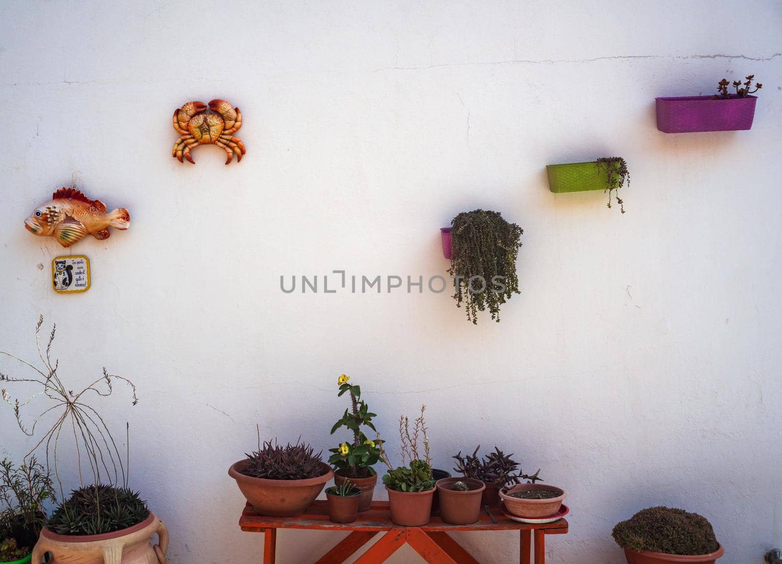 Flower pots hanging on a whitewashed wall by bepsimage