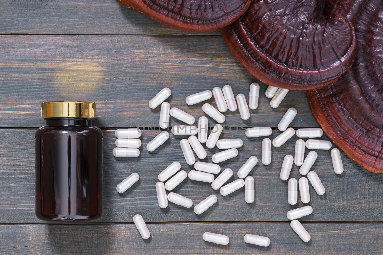 Ling zhi mushroom, Ganoderma lucidum mushroom and capsule with bottle mockup on wooden floor