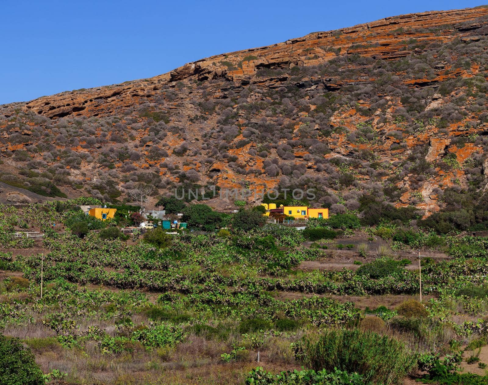 View of typical colorful houses of Linosa in the countryside, Sicily