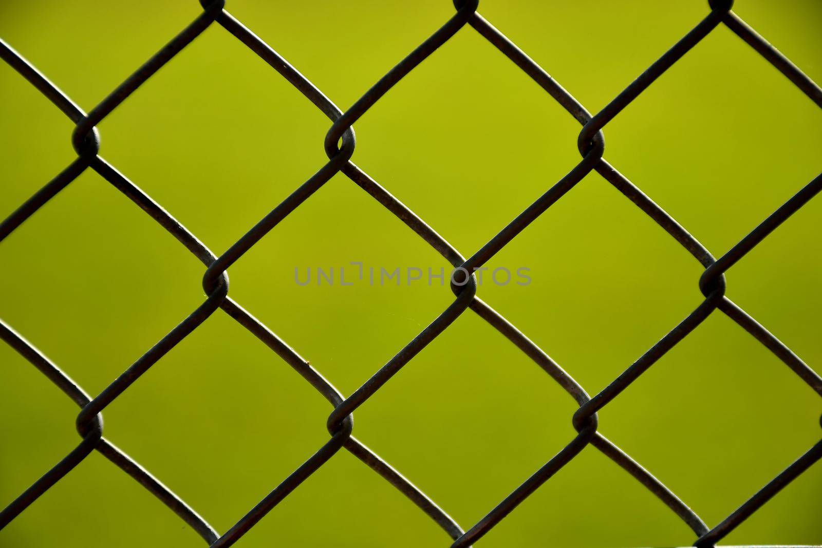 fence with green, blurred background