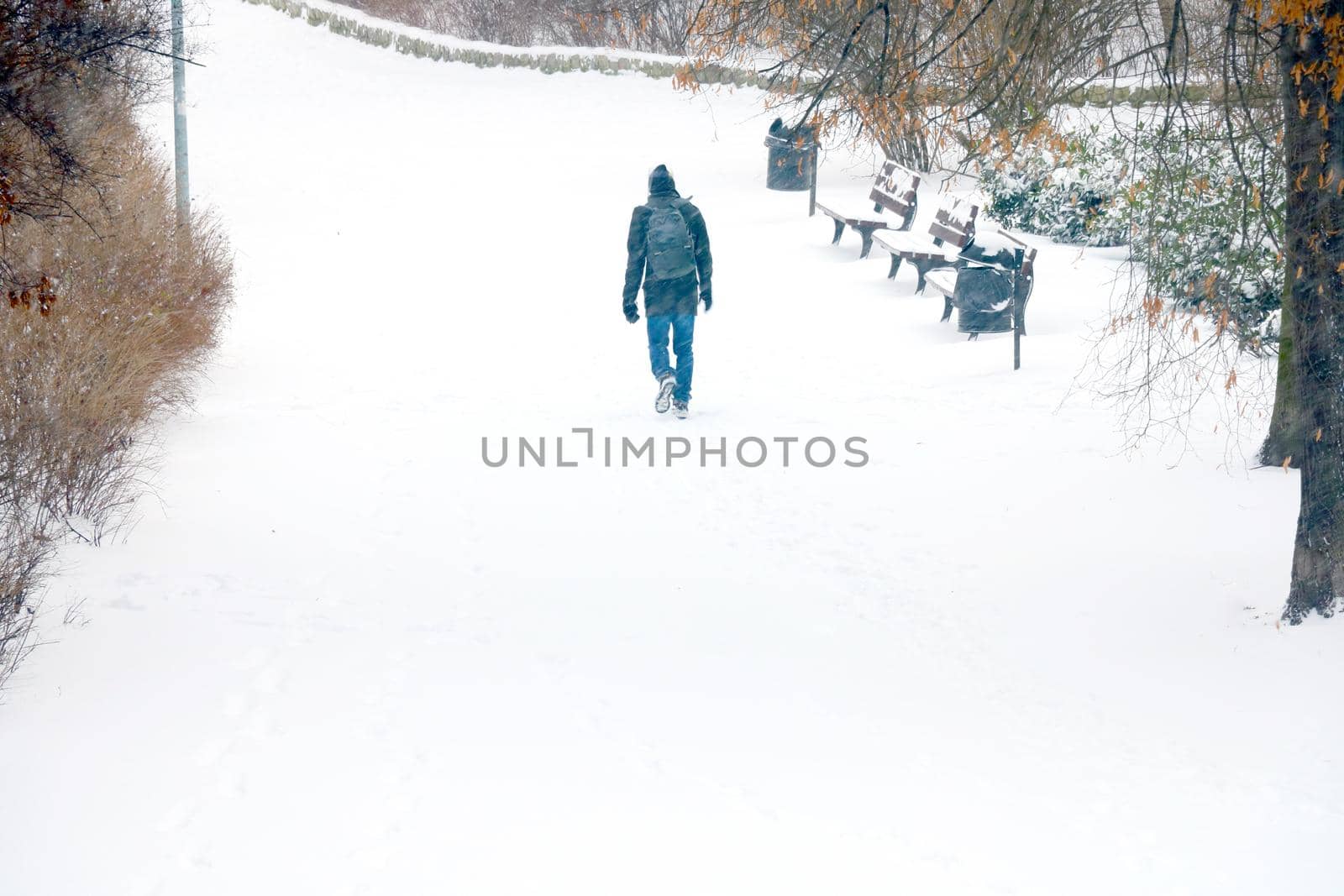 A man walks in the park on a snowy winter day. by kip02kas
