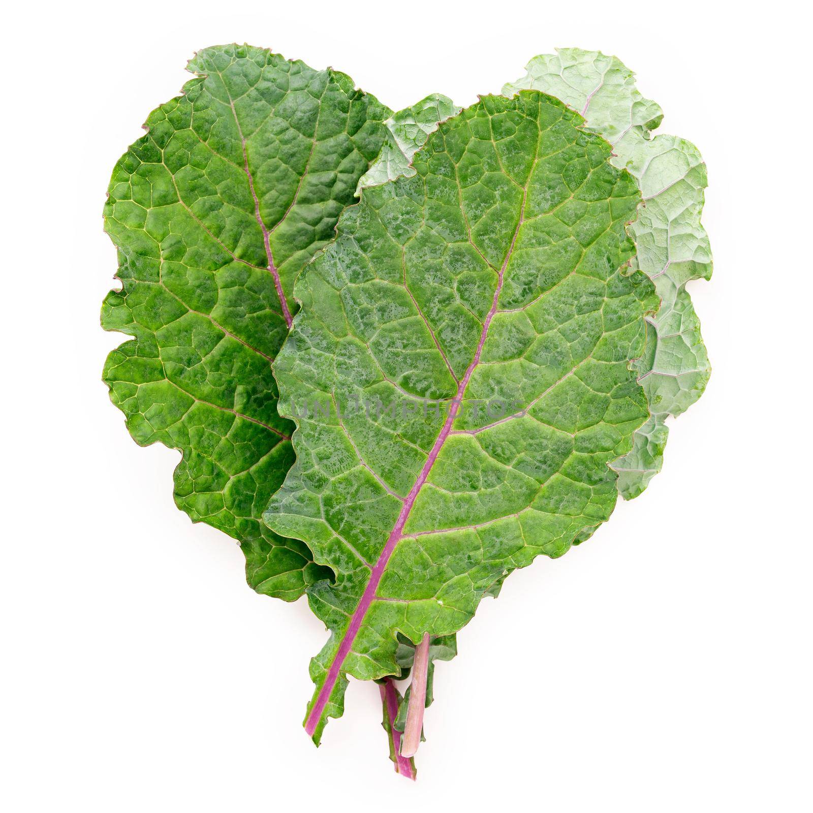 Flat lay fresh kale leaves in heart shape isolated on white background. Top view love healthy organic food.