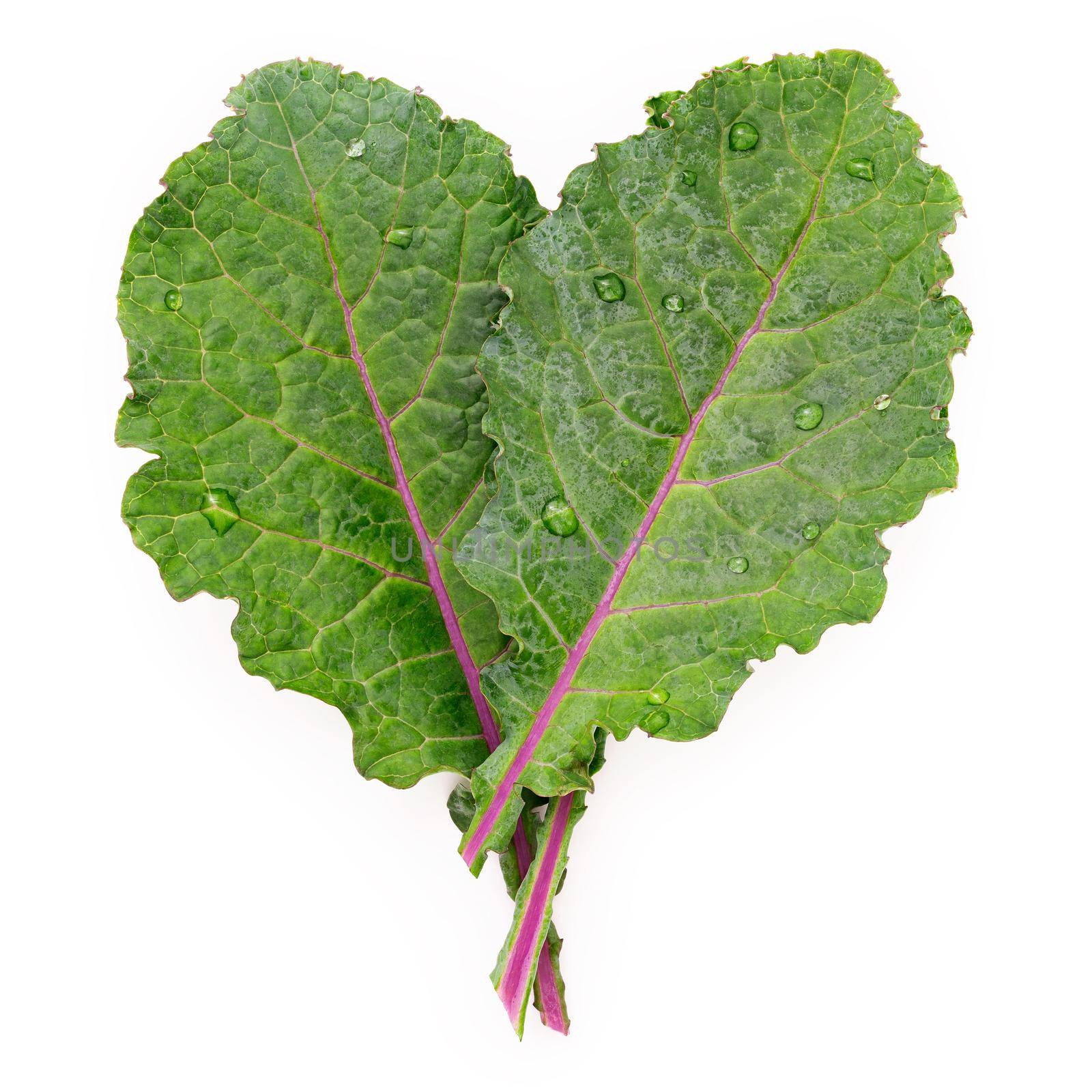 Flat lay fresh kale leaves in heart shape isolated on white background. Top view love healthy organic food. by kerdkanno