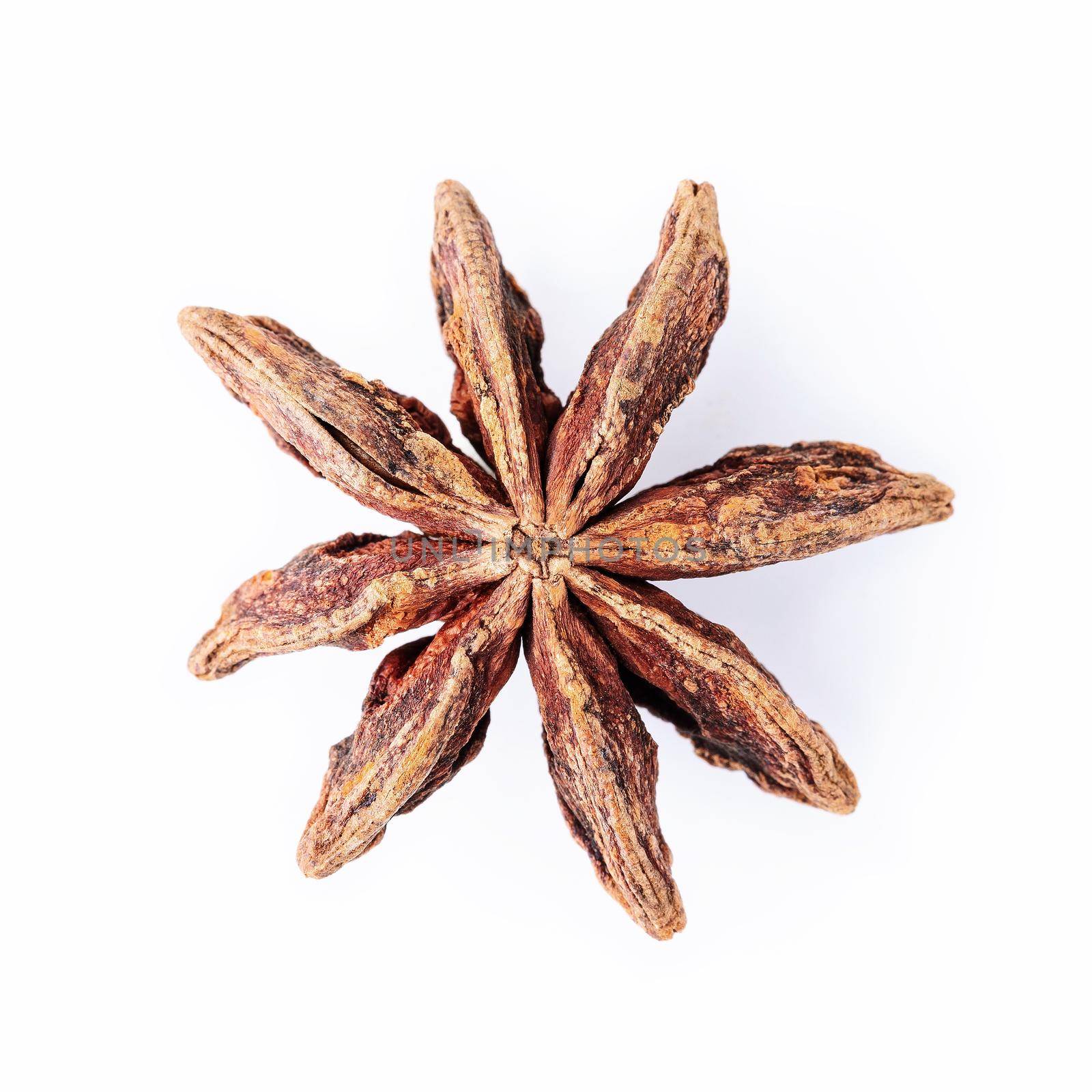 Single Chinese star anise isolated on white background.