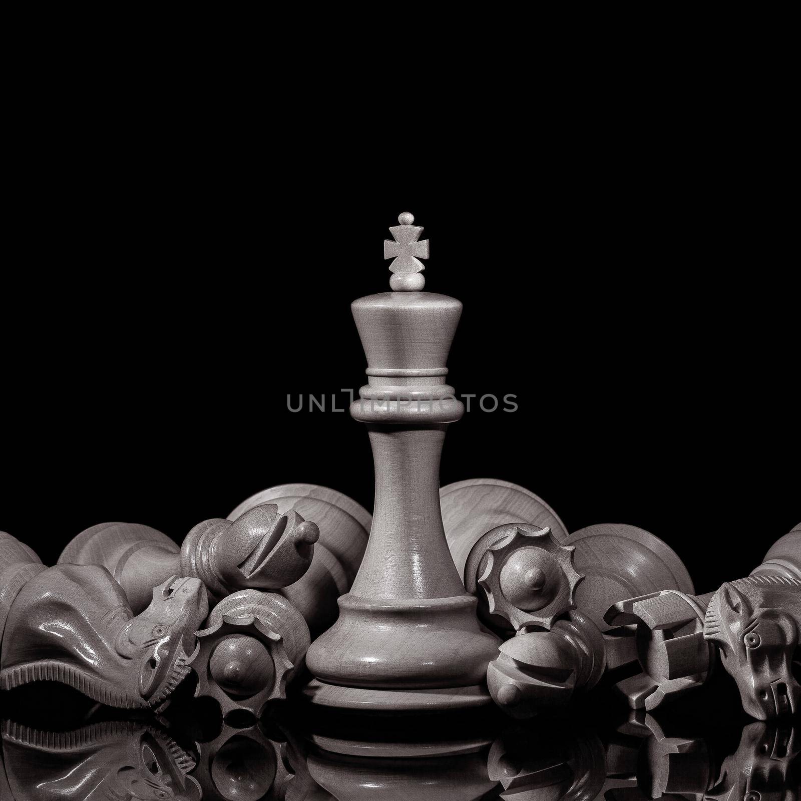 Black and White King and Knight of chess setup on dark background . Leader and teamwork concept for success. Chess concept save the king and save the strategy. by kerdkanno