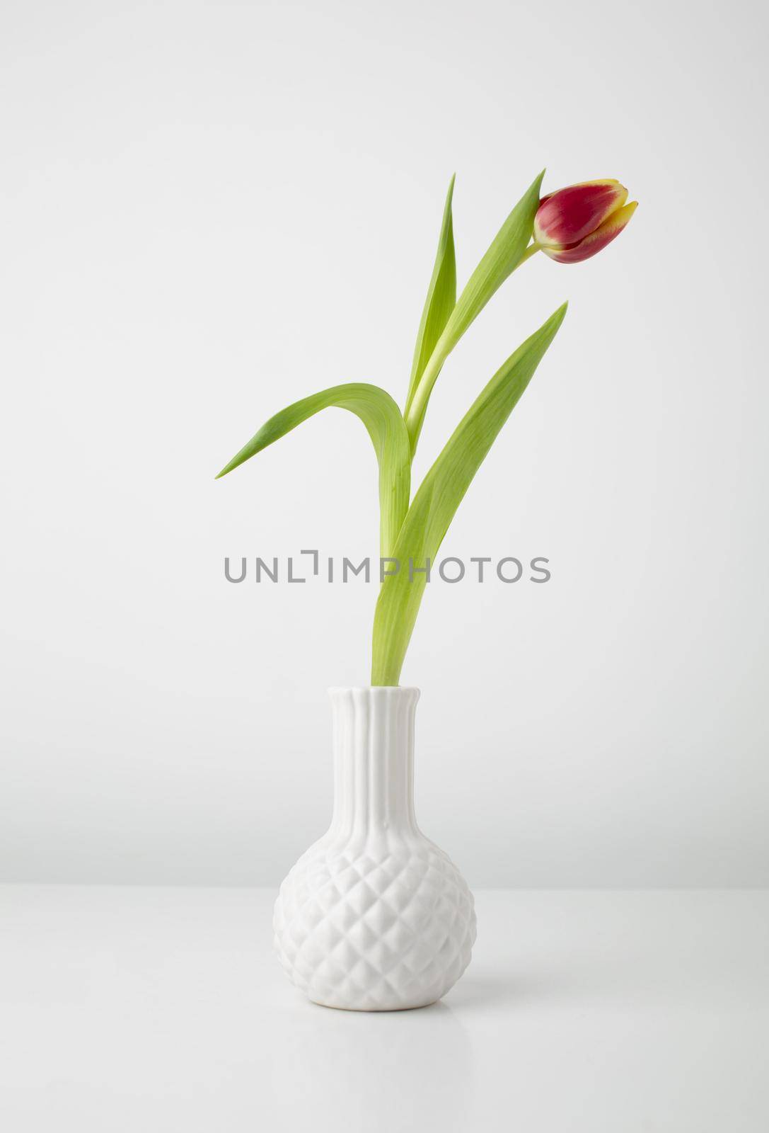 vase with tulip desk. High quality beautiful photo concept by Zahard