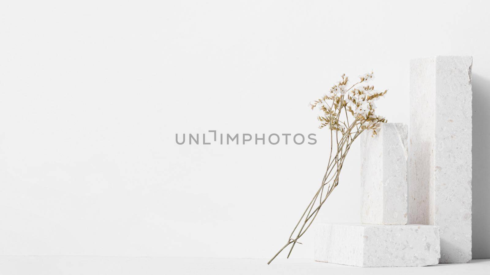 white still life composition. High quality beautiful photo concept by Zahard