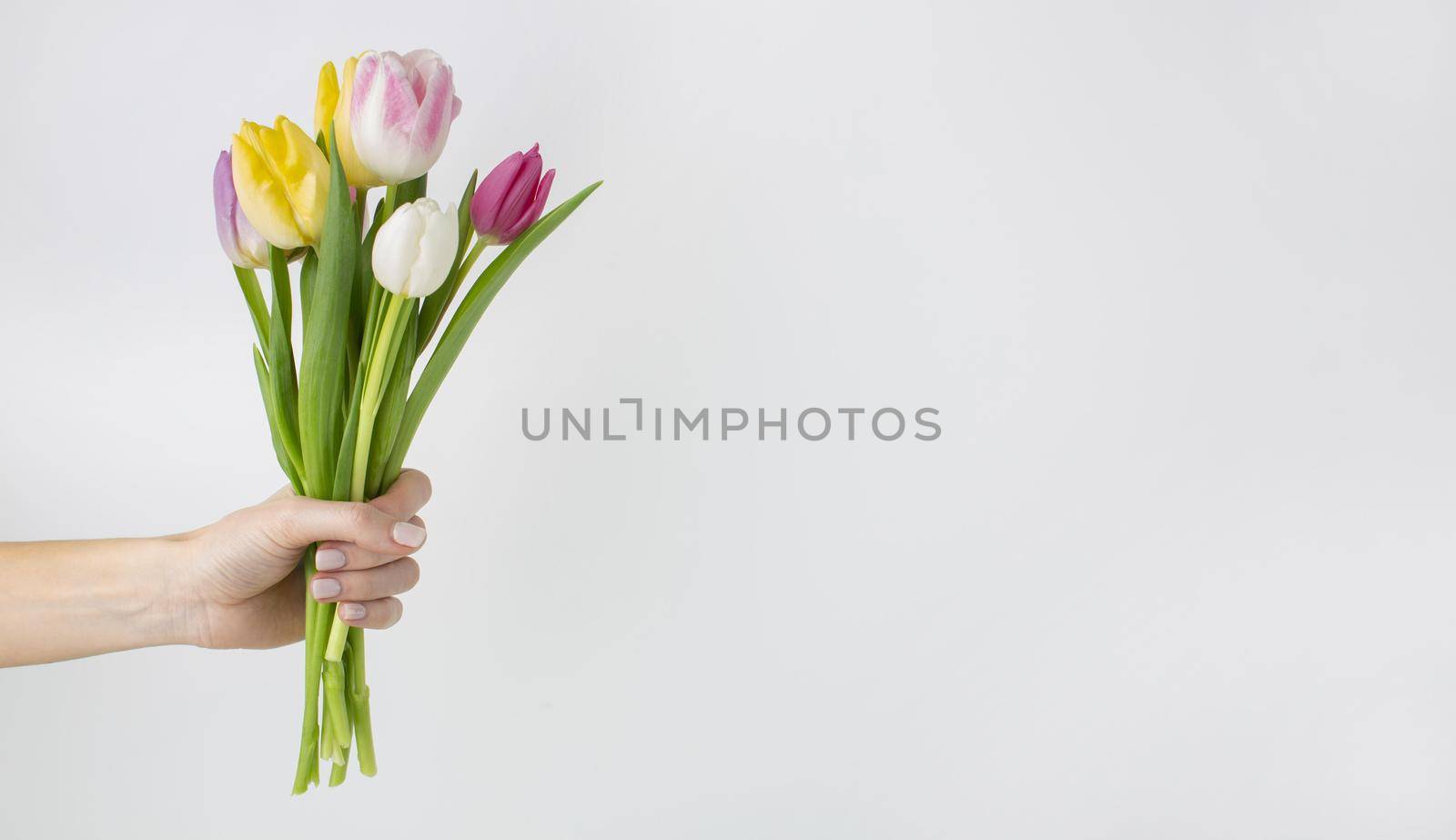hand holding tulips bouquet. High quality beautiful photo concept by Zahard