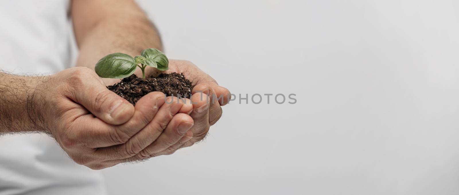 side view male hands holding soil plant with copy space. Resolution and high quality beautiful photo