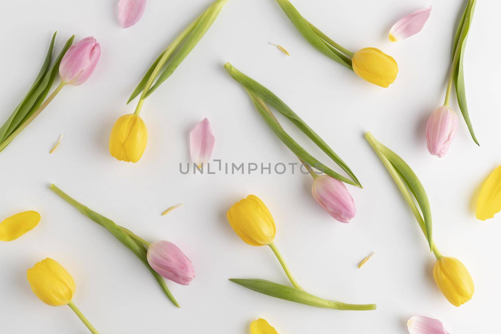 top view blooming tulips. High quality beautiful photo concept by Zahard