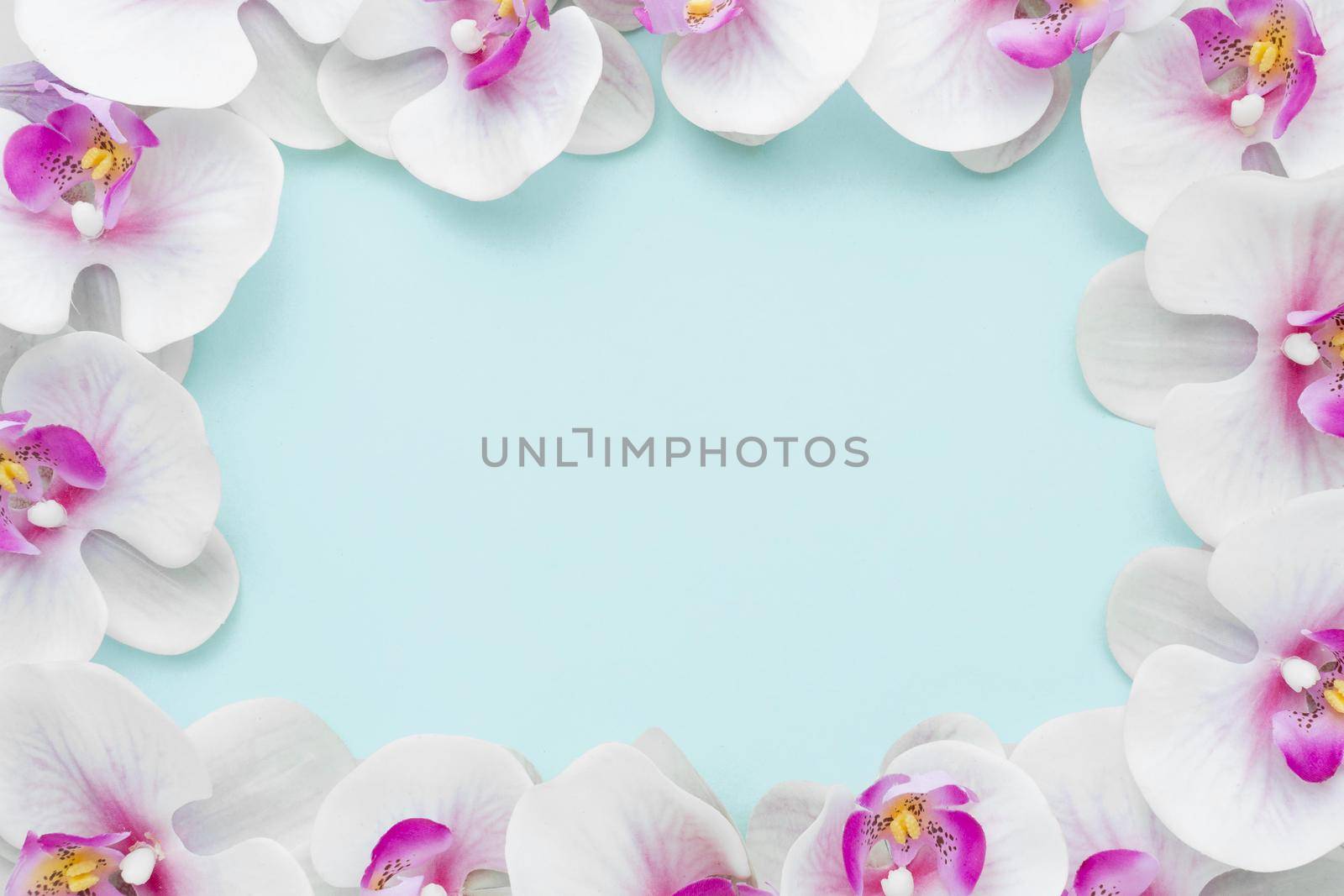 flat lay pink orchids frame. High quality beautiful photo concept by Zahard