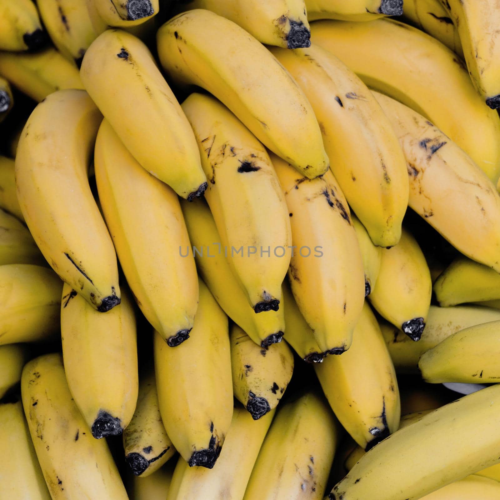 top view arrangement with bananas. High quality beautiful photo concept by Zahard