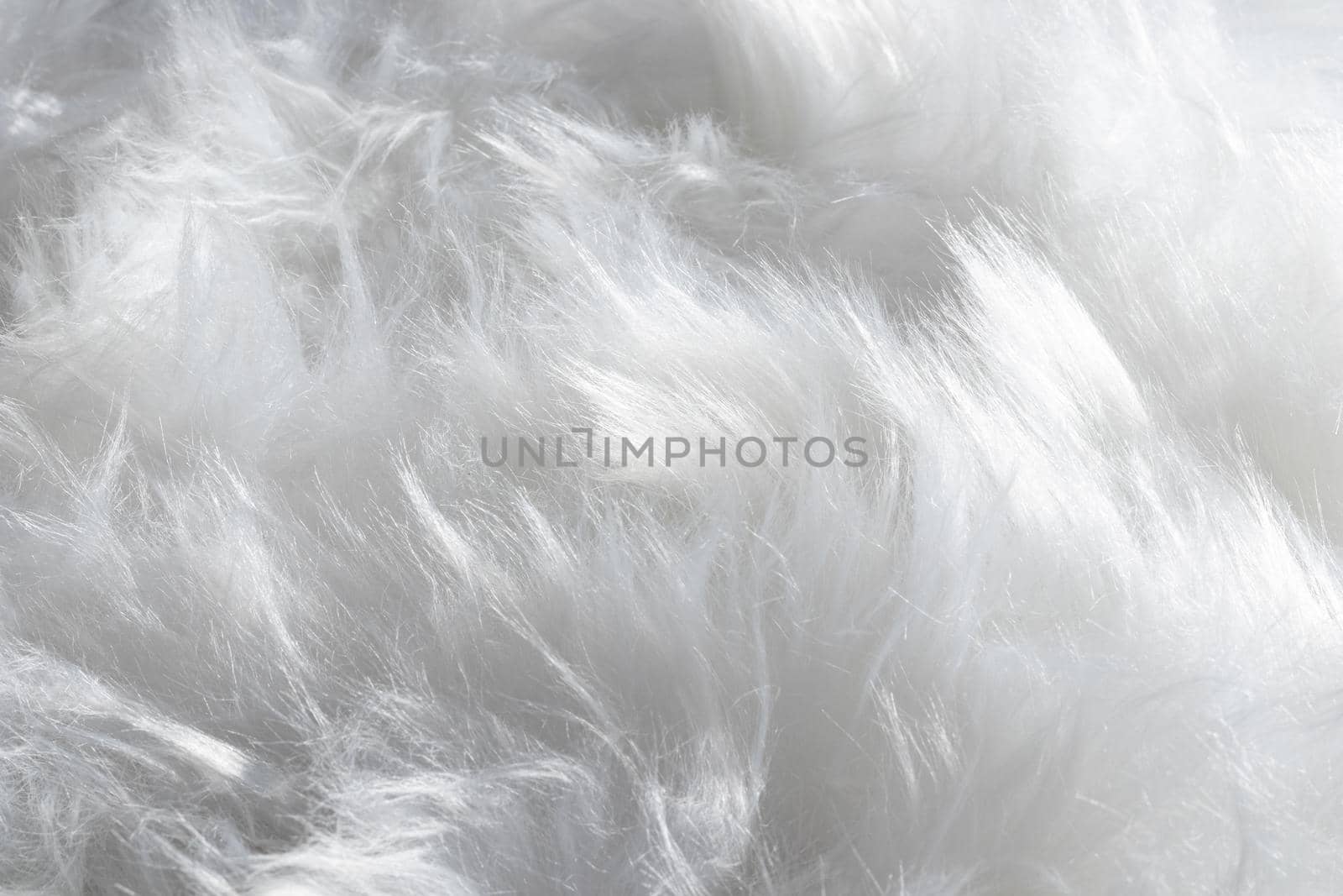 fluffy white feathers organic background. Resolution and high quality beautiful photo