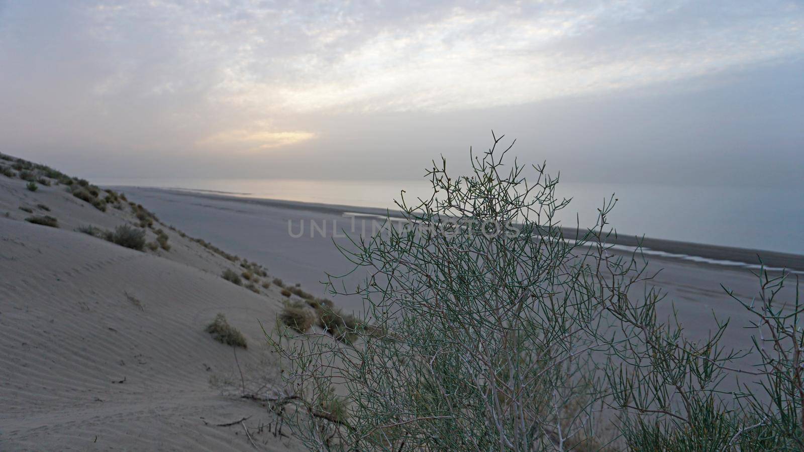 Dawn on the sandy beach of the sea. View of the bush. A sand dune with small bushes. The sun's rays peek out from behind the clouds. A light wave, almost calm. The water merges with the sky