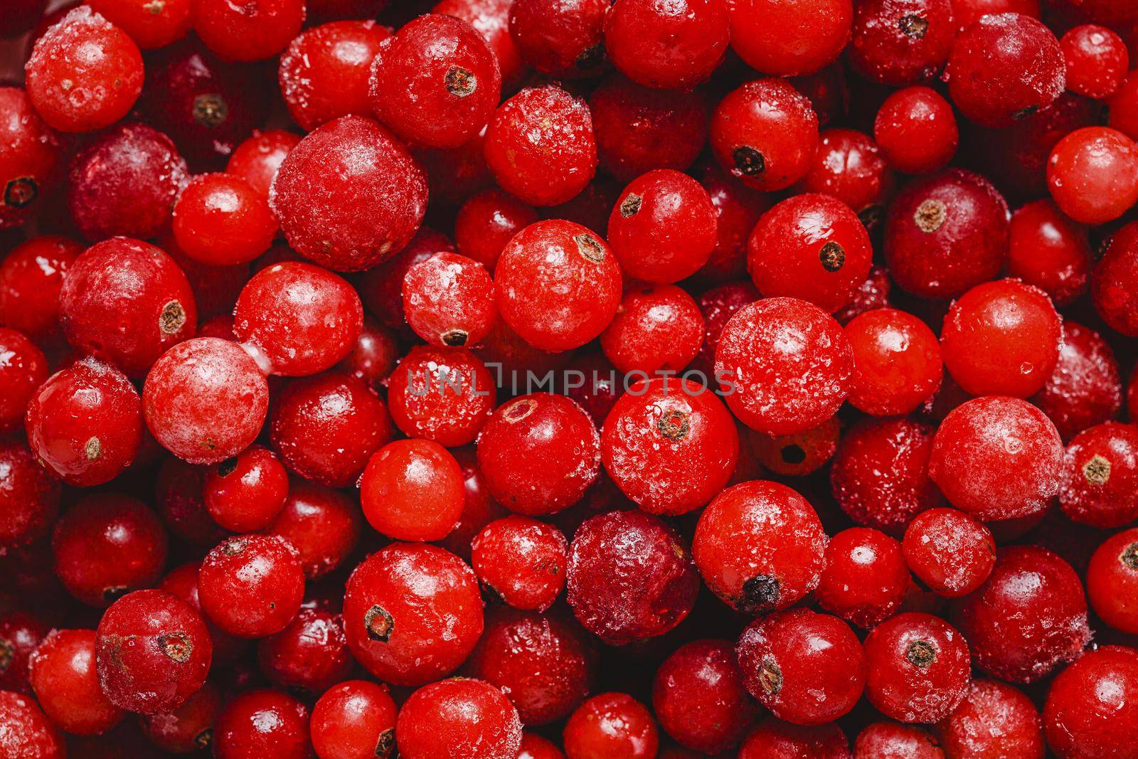 top view cranberries arrangement. High quality beautiful photo concept by Zahard